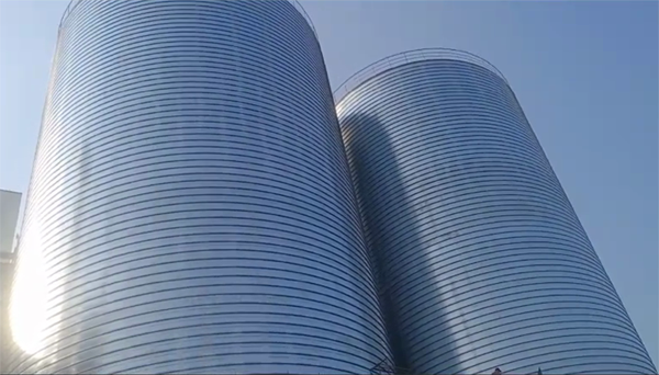 永康2座混凝土高架卷板仓